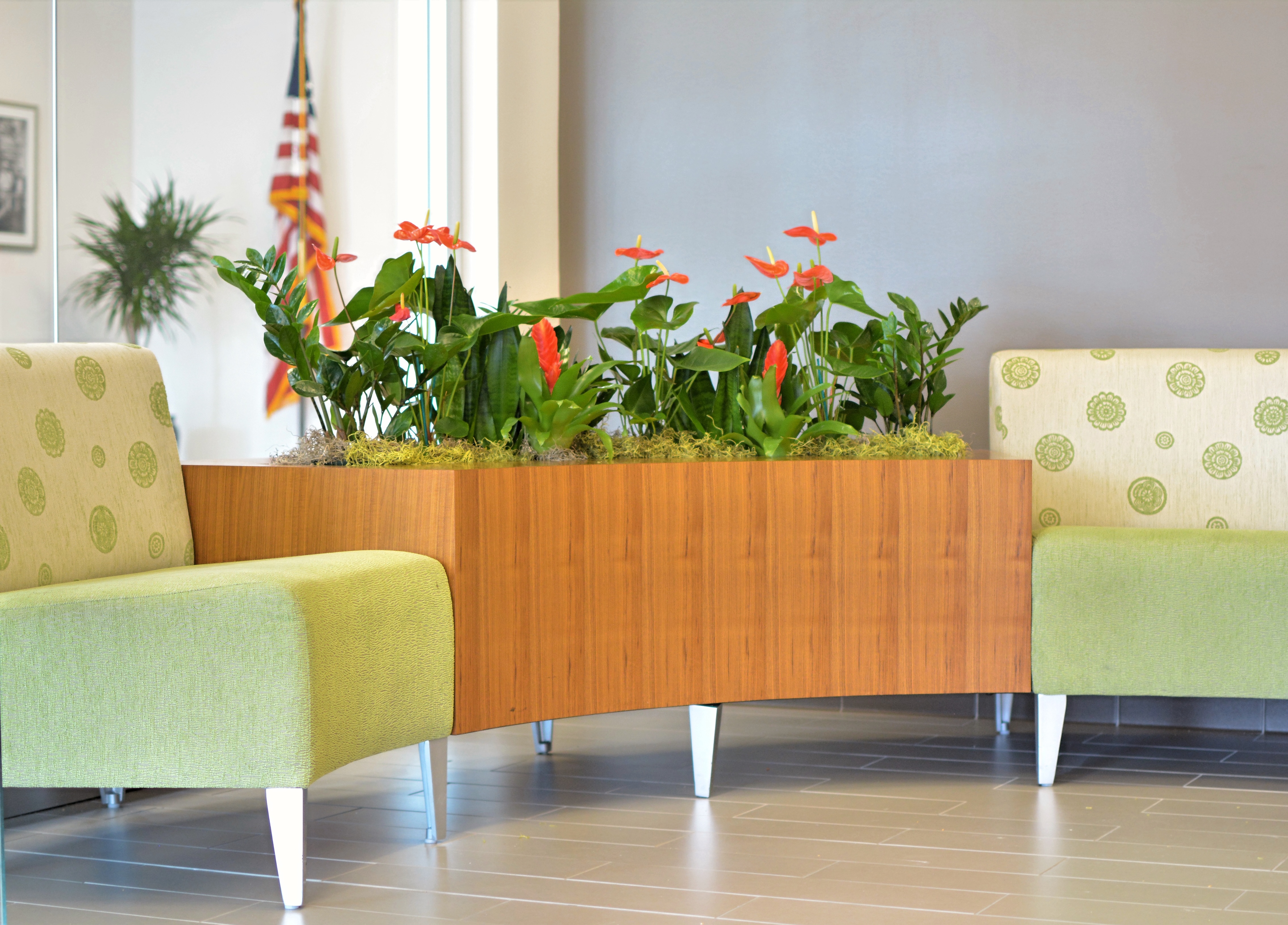 Interior Greenscapes | Professional Plant Design & Maintenance
